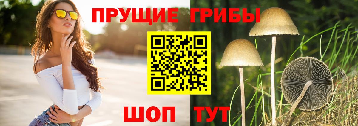 Псилоцибиновые грибы мицелий  Вход с VPN  как найти закладки  Краснознаменск 