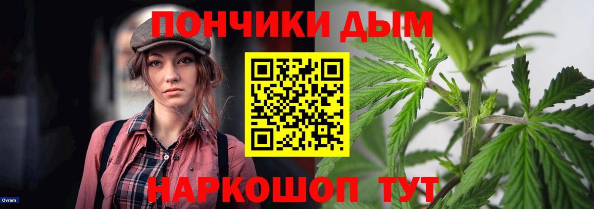 Канабис план  Вход с VPN  Марихуана Amnesia  Каннабис индика  Краснознаменск  Бошки марихуана White Widow 